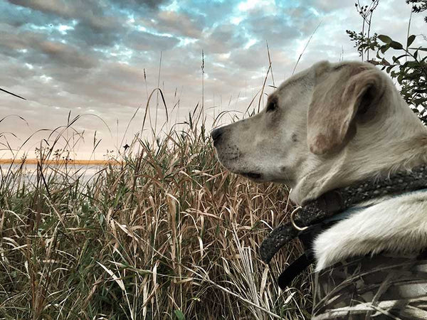 Vendor / Sponsor Application for 2021 California State Duck Calling Championship