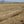 Eberhart Full Body Mallard Decoys - 12 Pack