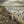 Eberhart Full Body Pintail Decoys - 12 Pack