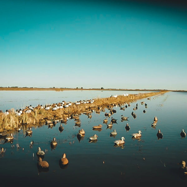 Eberhart Full Body Pintail Decoys - 12 Pack
