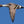 Kittle brothers call in and harvest a pair of pintail (sprig) ducks using the Wingsetter whistle.