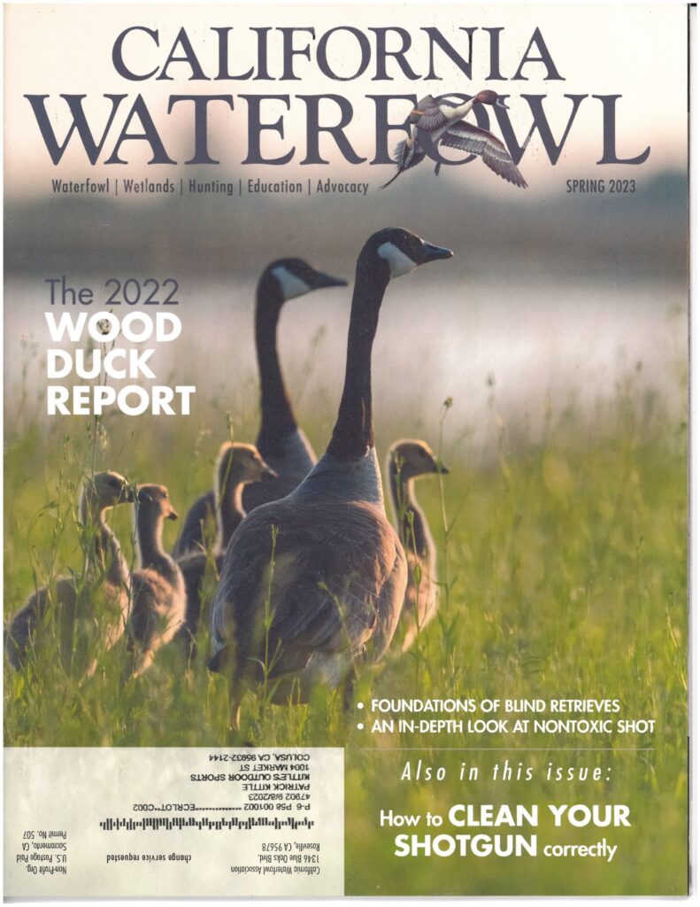 California Waterfowl magazine cover
