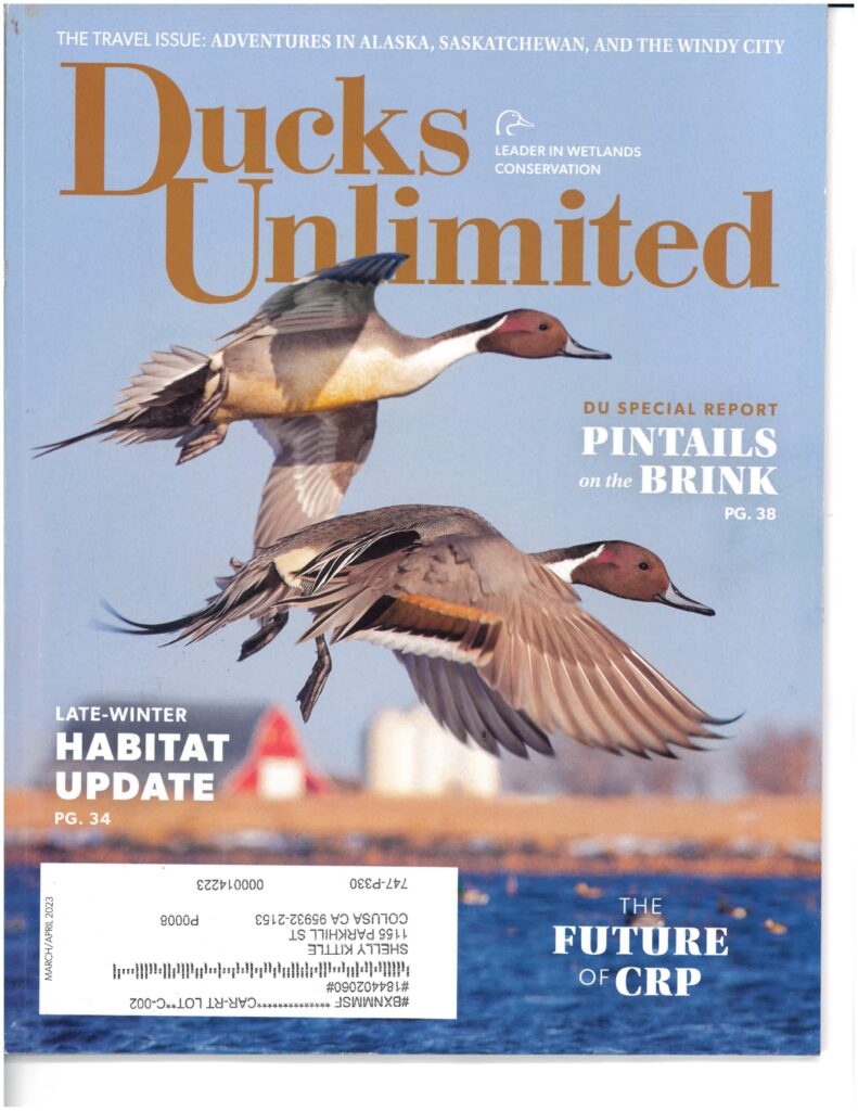 Ducks Unlimited magazine cover